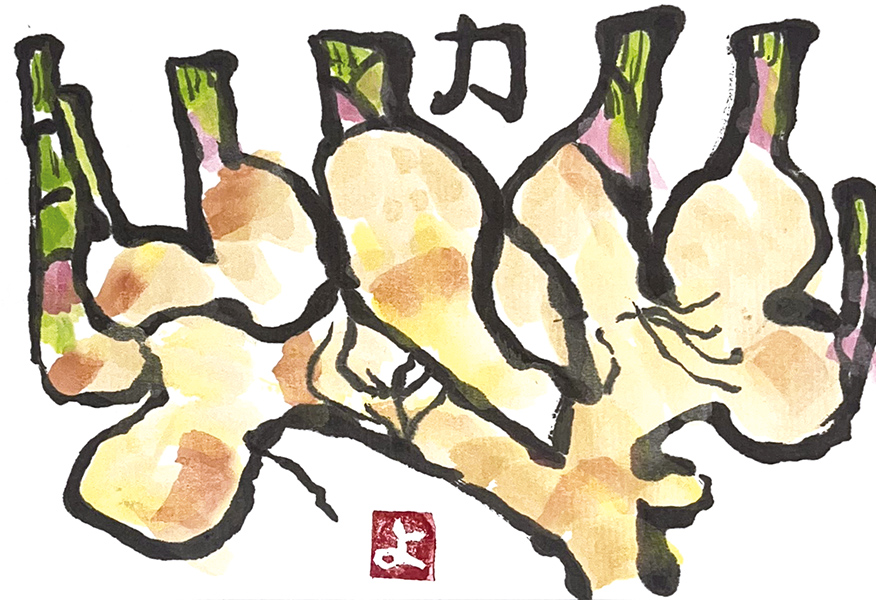 福岡県・有吉洋子さん