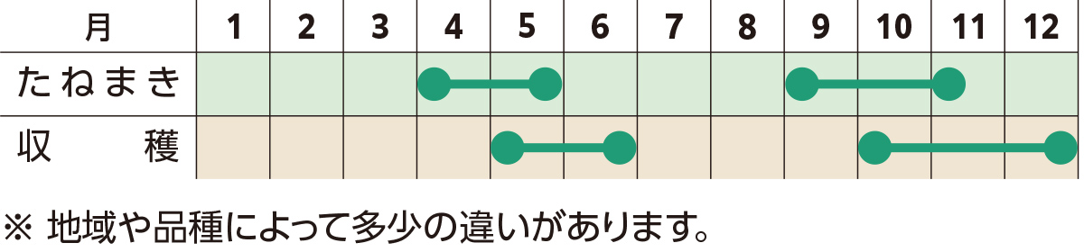 栽培スケジュール