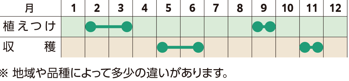 栽培スケジュール