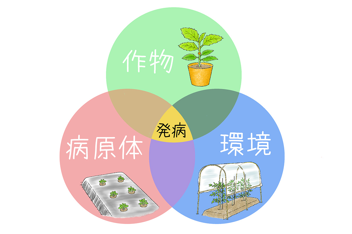 【図】病気発生の３つの要因