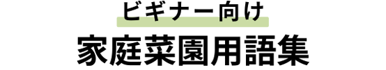 ビギナー向け家庭菜園用語集